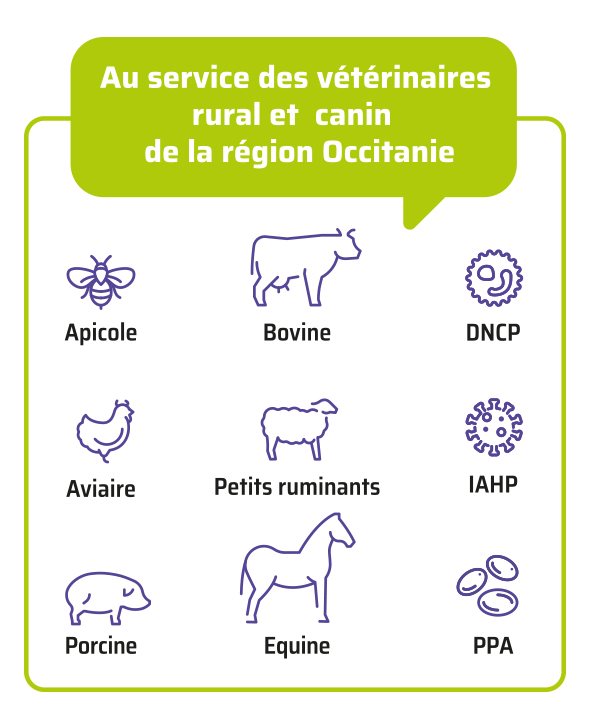 Filières et thèmes couverts par le Réseau Vet Occitanie